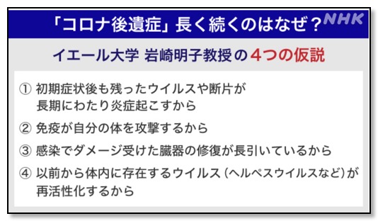 Screenshot 2024-03-29 at 13-13-48 「コロナ後遺症」って何？いつまで続く？専門家に聞きました｜NHK