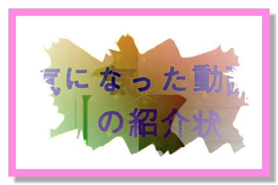 スクリーンショット 2023-05-04 16.07.36
